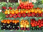 vegetables1